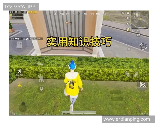 和平精英装备选购指南：最佳游戏手柄推荐与使用技巧分享